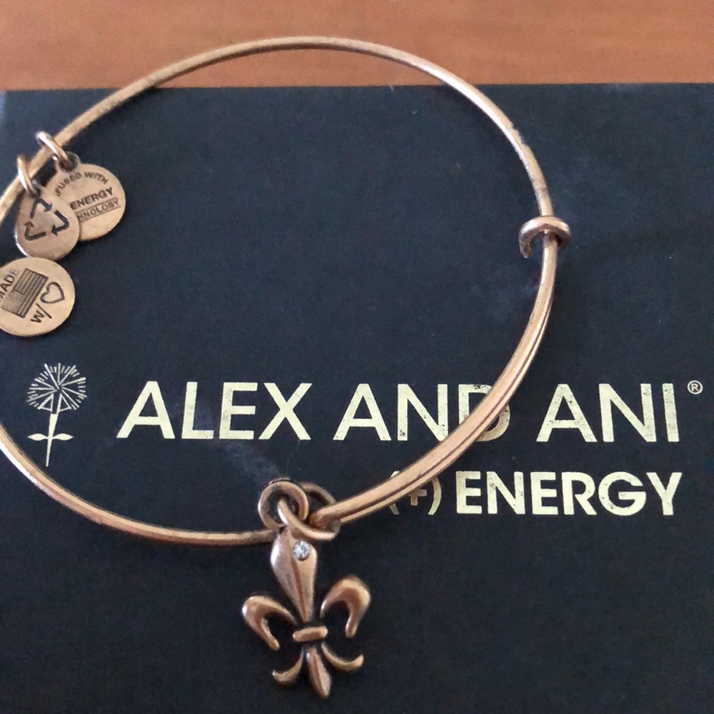 Alex and Ani charm bracelet! Amazing condition!